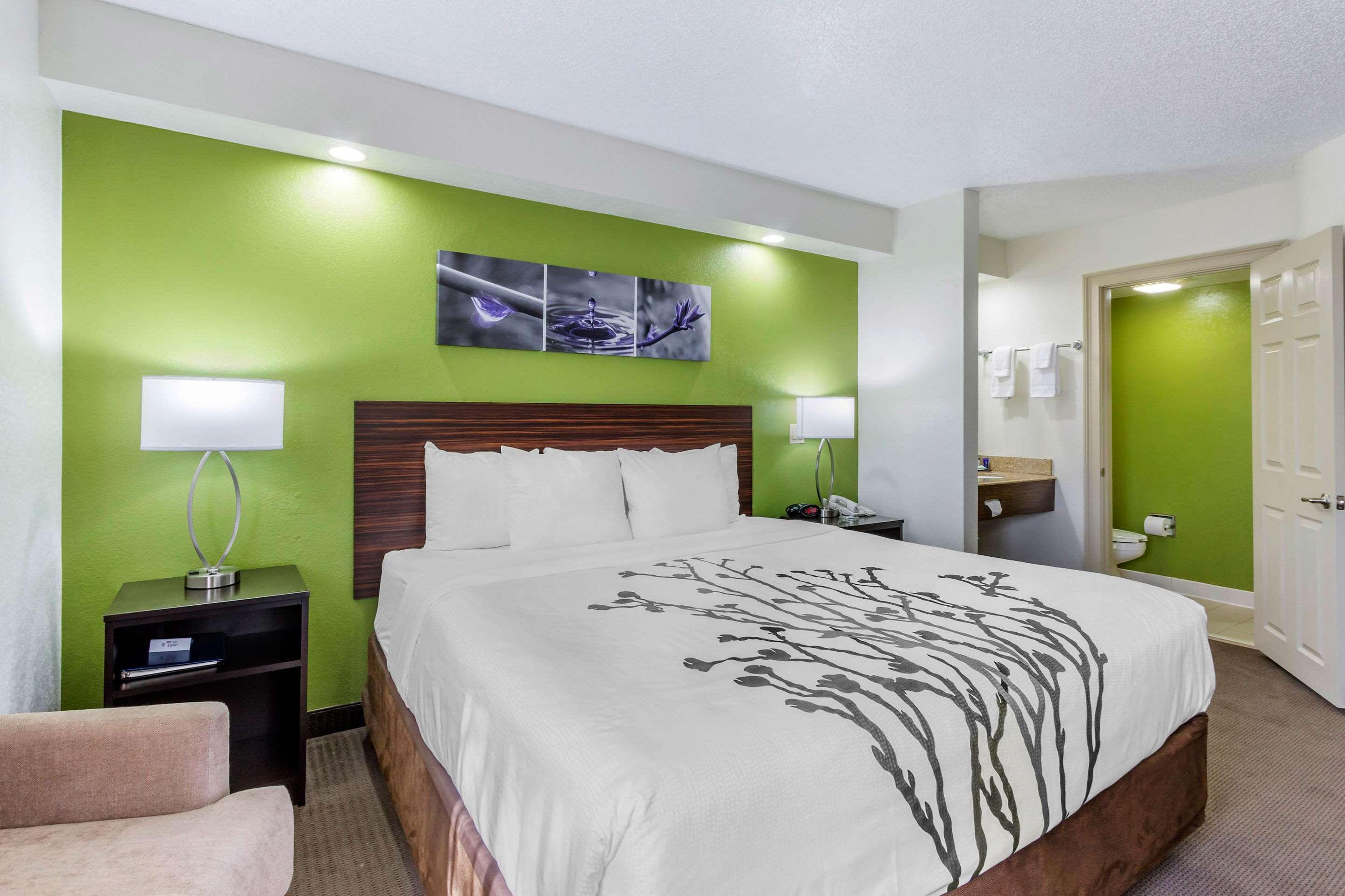 Sleep Inn Near Busch Gardens - Usf Temple Terrace Exteriér fotografie